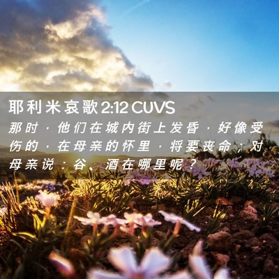Picture 02 - 耶 利 米 哀 歌 2:12 CUVS - 那 时 ， 他 们 在 城 内 街 上 发 昏 - Bible Verse Picture