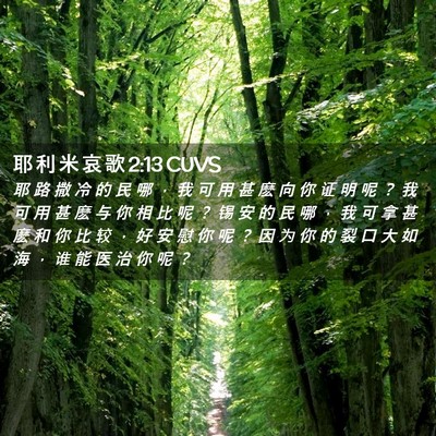Picture 02 - 耶 利 米 哀 歌 2:13 CUVS - 耶 路 撒 冷 的 民 哪 ， 我 可 用 甚 - Bible Verse Picture
