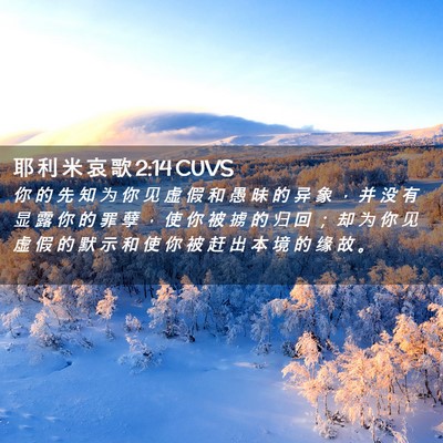 Picture 02 - 耶 利 米 哀 歌 2:14 CUVS - 你 的 先 知 为 你 见 虚 假 和 愚 昧 - Bible Verse Picture