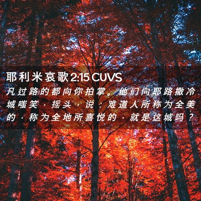 Picture 02 - 耶 利 米 哀 歌 2:15 CUVS - 凡 过 路 的 都 向 你 拍 掌 。 他 们 - Bible Verse Picture