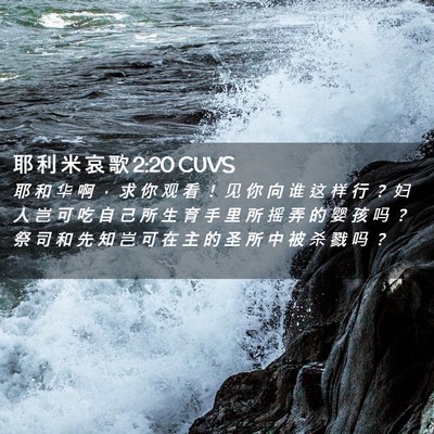 Picture 02 - 耶 利 米 哀 歌 2:20 CUVS - 耶 和 华 啊 ， 求 你 观 看 ！ 见 你 - Bible Verse Picture