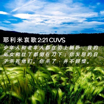Picture 02 - 耶 利 米 哀 歌 2:21 CUVS - 少 年 人 和 老 年 人 都 在 街 上 躺 - Bible Verse Picture