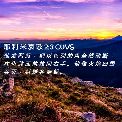 Picture 02 - 耶 利 米 哀 歌 2:3 CUVS - 他 发 烈 怒 ， 把 以 色 列 的 角 全 - Bible Verse Picture