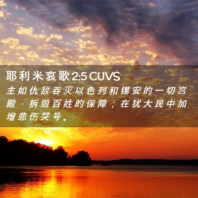 Picture 02 - 耶 利 米 哀 歌 2:5 CUVS - 主 如 仇 敌 吞 灭 以 色 列 和 锡 安 - Bible Verse Picture