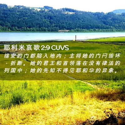 Picture 02 - 耶 利 米 哀 歌 2:9 CUVS - 锡 安 的 门 都 陷 入 地 内 ； 主 将 - Bible Verse Picture