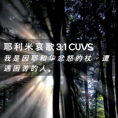 Picture 02 - 耶 利 米 哀 歌 3:1 CUVS - 我 是 因 耶 和 华 忿 怒 的 杖 ， 遭 - Bible Verse Picture