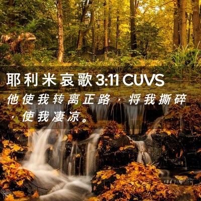 Picture 02 - 耶 利 米 哀 歌 3:11 CUVS - 他 使 我 转 离 正 路 ， 将 我 撕 碎 - Bible Verse Picture