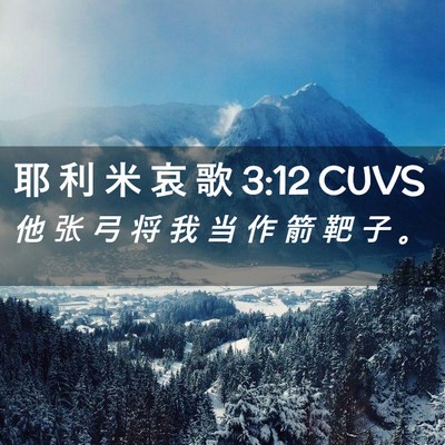 Picture 02 - 耶 利 米 哀 歌 3:12 CUVS - 他 张 弓 将 我 当 作 箭 靶 子 - Bible Verse Picture
