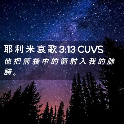 Picture 02 - 耶 利 米 哀 歌 3:13 CUVS - 他 把 箭 袋 中 的 箭 射 入 我 的 肺 - Bible Verse Picture