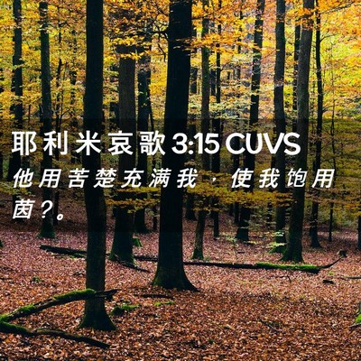 Picture 02 - 耶 利 米 哀 歌 3:15 CUVS - 他 用 苦 楚 充 满 我 ， 使 我 饱 用 - Bible Verse Picture