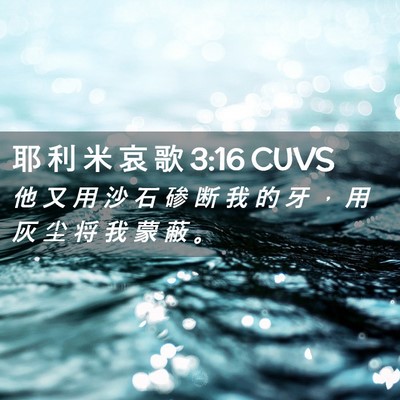 Picture 02 - 耶 利 米 哀 歌 3:16 CUVS - 他 又 用 沙 石 碜 断 我 的 牙 ， 用 - Bible Verse Picture