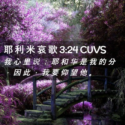 Picture 02 - 耶 利 米 哀 歌 3:24 CUVS - 我 心 里 说 ： 耶 和 华 是 我 的 分 - Bible Verse Picture