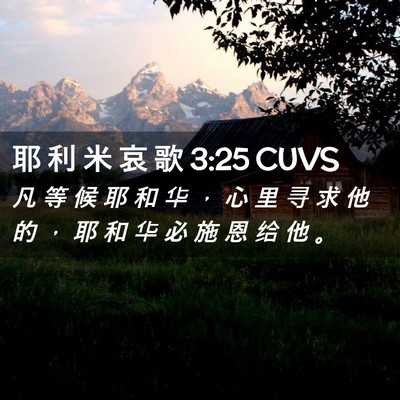 Picture 02 - 耶 利 米 哀 歌 3:25 CUVS - 凡 等 候 耶 和 华 ， 心 里 寻 求 他 - Bible Verse Picture
