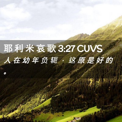 Picture 02 - 耶 利 米 哀 歌 3:27 CUVS - 人 在 幼 年 负 轭 ， 这 原 是 好 的 - Bible Verse Picture