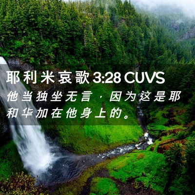 Picture 02 - 耶 利 米 哀 歌 3:28 CUVS - 他 当 独 坐 无 言 ， 因 为 这 是 耶 - Bible Verse Picture