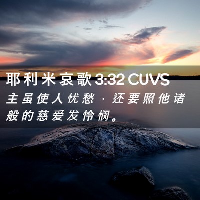 Picture 02 - 耶 利 米 哀 歌 3:32 CUVS - 主 虽 使 人 忧 愁 ， 还 要 照 他 诸 - Bible Verse Picture