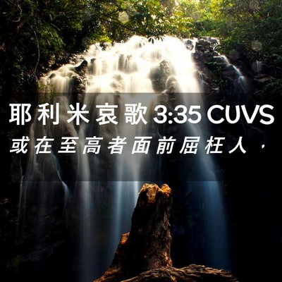 Picture 02 - 耶 利 米 哀 歌 3:35 CUVS - 或 在 至 高 者 面 前 屈 枉 人 - Bible Verse Picture