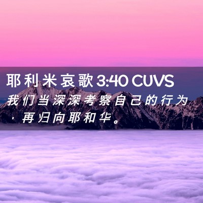 Picture 02 - 耶 利 米 哀 歌 3:40 CUVS - 我 们 当 深 深 考 察 自 己 的 行 为 - Bible Verse Picture