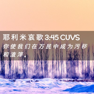 Picture 02 - 耶 利 米 哀 歌 3:45 CUVS - 你 使 我 们 在 万 民 中 成 为 污 秽 - Bible Verse Picture