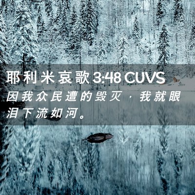 Picture 02 - 耶 利 米 哀 歌 3:48 CUVS - 因 我 众 民 遭 的 毁 灭 ， 我 就 眼 - Bible Verse Picture