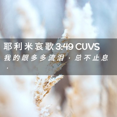 Picture 02 - 耶 利 米 哀 歌 3:49 CUVS - 我 的 眼 多 多 流 泪 ， 总 不 止 息 - Bible Verse Picture