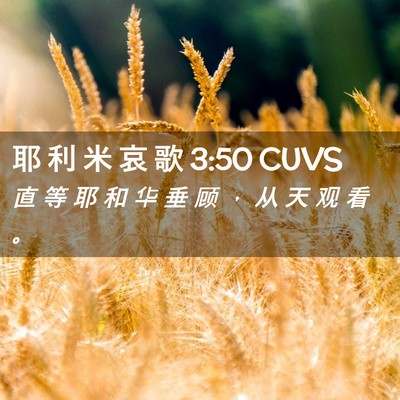 Picture 02 - 耶 利 米 哀 歌 3:50 CUVS - 直 等 耶 和 华 垂 顾 ， 从 天 观 看 - Bible Verse Picture