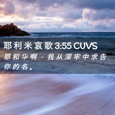 Picture 02 - 耶 利 米 哀 歌 3:55 CUVS - 耶 和 华 啊 ， 我 从 深 牢 中 求 告 - Bible Verse Picture