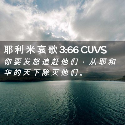 Picture 02 - 耶 利 米 哀 歌 3:66 CUVS - 你 要 发 怒 追 赶 他 们 ， 从 耶 和 - Bible Verse Picture