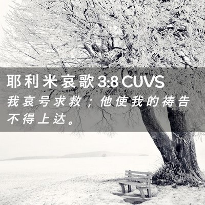 Picture 02 - 耶 利 米 哀 歌 3:8 CUVS - 我 哀 号 求 救 ； 他 使 我 的 祷 告 - Bible Verse Picture