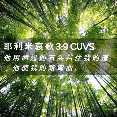Picture 02 - 耶 利 米 哀 歌 3:9 CUVS - 他 用 凿 过 的 石 头 挡 住 我 的 道 - Bible Verse Picture