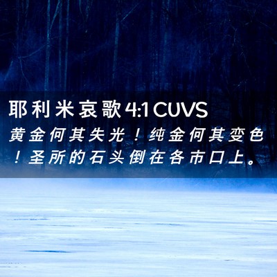 Picture 02 - 耶 利 米 哀 歌 4:1 CUVS - 黄 金 何 其 失 光 ！ 纯 金 何 其 变 - Bible Verse Picture