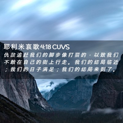 Picture 02 - 耶 利 米 哀 歌 4:18 CUVS - 仇 敌 追 赶 我 们 的 脚 步 像 打 猎 - Bible Verse Picture