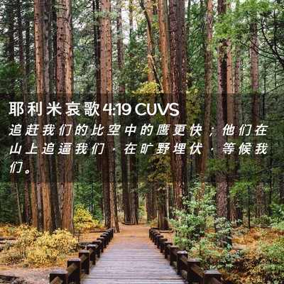 Picture 02 - 耶 利 米 哀 歌 4:19 CUVS - 追 赶 我 们 的 比 空 中 的 鹰 更 快 - Bible Verse Picture