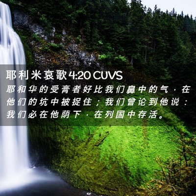 Picture 02 - 耶 利 米 哀 歌 4:20 CUVS - 耶 和 华 的 受 膏 者 好 比 我 们 鼻 - Bible Verse Picture