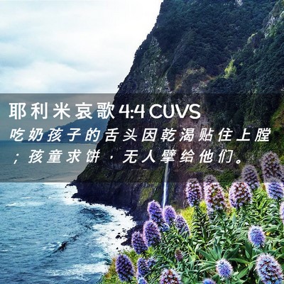Picture 02 - 耶 利 米 哀 歌 4:4 CUVS - 吃 奶 孩 子 的 舌 头 因 乾 渴 贴 住 - Bible Verse Picture