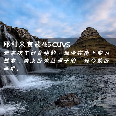 Picture 02 - 耶 利 米 哀 歌 4:5 CUVS - 素 来 吃 美 好 食 物 的 ， 现 今 在 - Bible Verse Picture