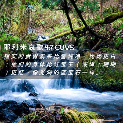 Picture 02 - 耶 利 米 哀 歌 4:7 CUVS - 锡 安 的 贵 胄 素 来 比 雪 纯 净 ， - Bible Verse Picture