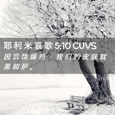 Picture 02 - 耶 利 米 哀 歌 5:10 CUVS - 因 饥 饿 燥 热 ， 我 们 的 皮 肤 就 - Bible Verse Picture