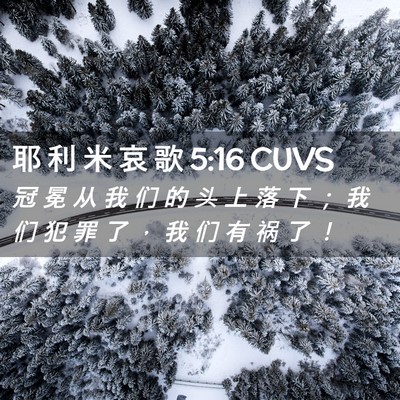 Picture 02 - 耶 利 米 哀 歌 5:16 CUVS - 冠 冕 从 我 们 的 头 上 落 下 ； 我 - Bible Verse Picture