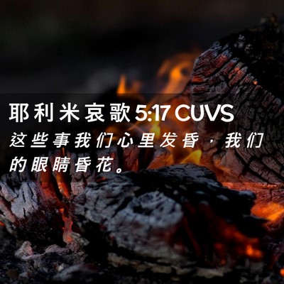 Picture 02 - 耶 利 米 哀 歌 5:17 CUVS - 这 些 事 我 们 心 里 发 昏 ， 我 们 - Bible Verse Picture