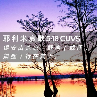 Picture 02 - 耶 利 米 哀 歌 5:18 CUVS - 锡 安 山 荒 凉 ， 野 狗 （ 或 译 ： - Bible Verse Picture