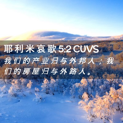 Picture 02 - 耶 利 米 哀 歌 5:2 CUVS - 我 们 的 产 业 归 与 外 邦 人 ； 我 - Bible Verse Picture