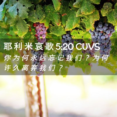Picture 02 - 耶 利 米 哀 歌 5:20 CUVS - 你 为 何 永 远 忘 记 我 们 ？ 为 何 - Bible Verse Picture