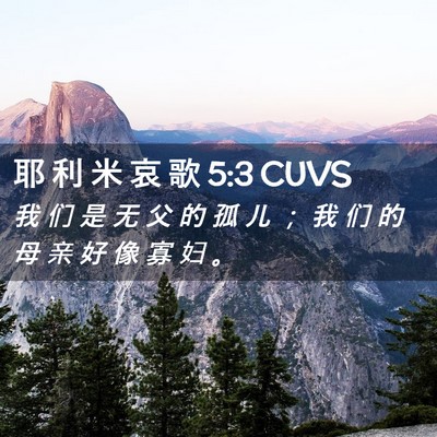 Picture 02 - 耶 利 米 哀 歌 5:3 CUVS - 我 们 是 无 父 的 孤 儿 ； 我 们 的 - Bible Verse Picture