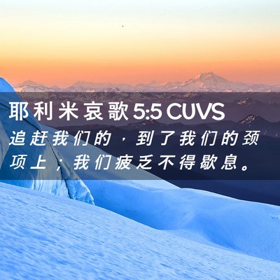Picture 02 - 耶 利 米 哀 歌 5:5 CUVS - 追 赶 我 们 的 ， 到 了 我 们 的 颈 - Bible Verse Picture