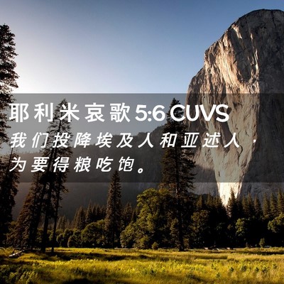 Picture 02 - 耶 利 米 哀 歌 5:6 CUVS - 我 们 投 降 埃 及 人 和 亚 述 人 ， - Bible Verse Picture