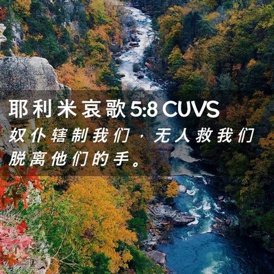 Picture 02 - 耶 利 米 哀 歌 5:8 CUVS - 奴 仆 辖 制 我 们 ， 无 人 救 我 们 - Bible Verse Picture