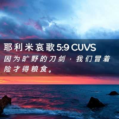 Picture 02 - 耶 利 米 哀 歌 5:9 CUVS - 因 为 旷 野 的 刀 剑 ， 我 们 冒 着 - Bible Verse Picture