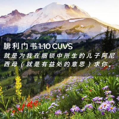 Picture 02 - 腓 利 门 书 1:10 CUVS - 就 是 为 我 在 捆 锁 中 所 生 的 儿 - Bible Verse Picture