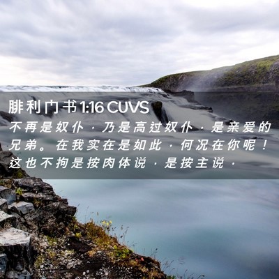 Picture 02 - 腓 利 门 书 1:16 CUVS - 不 再 是 奴 仆 ， 乃 是 高 过 奴 仆 - Bible Verse Picture